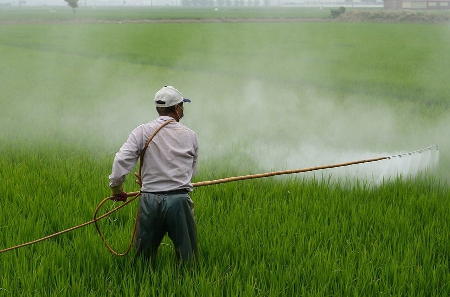 Pesticides are not responsible for rise in cancer incidences in Punjab: CCFI
