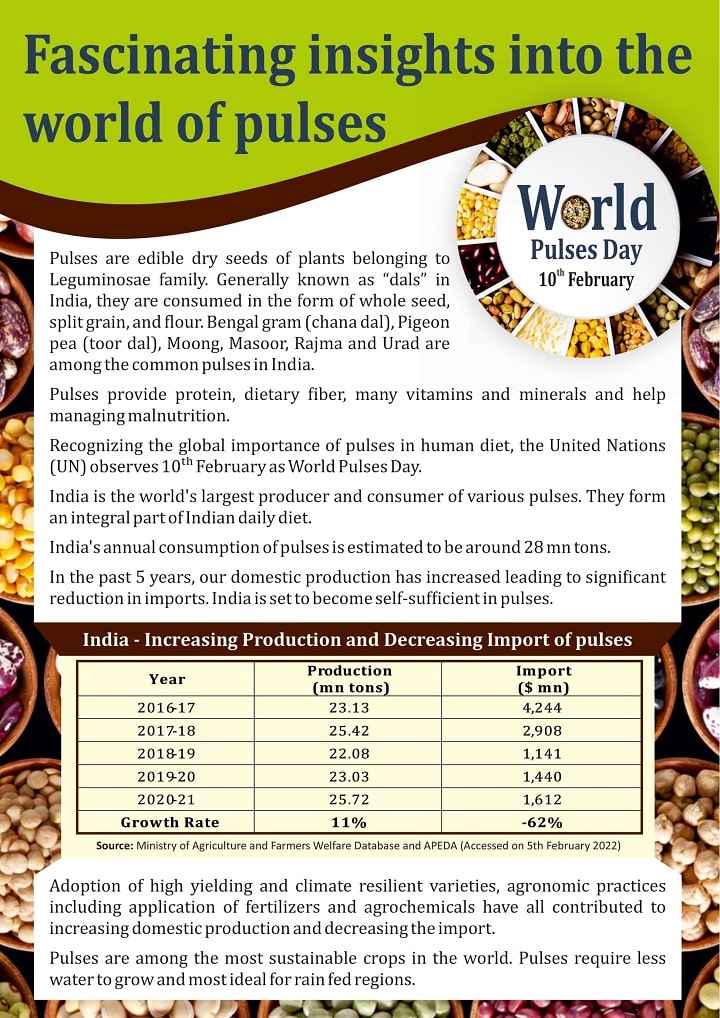 Fascinating insights into the world of pulses