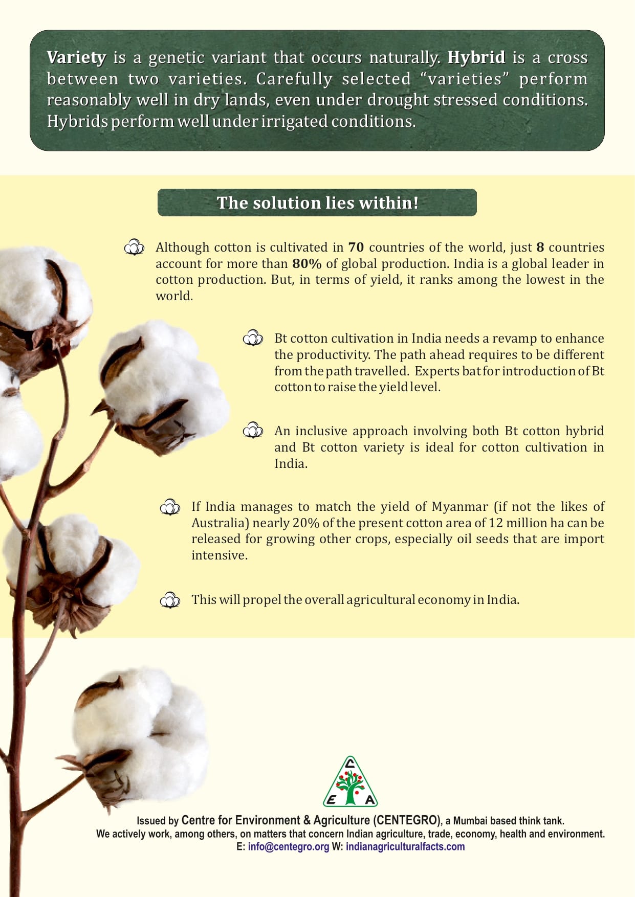 India Alarming Decline in Bt Cotton Yield_page-0003-min
