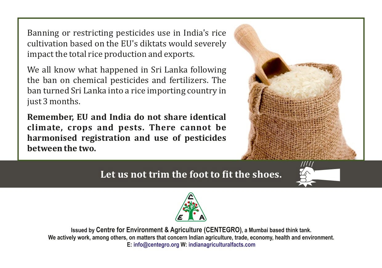 Analysing India’s Rice Exports and share of the EU-27