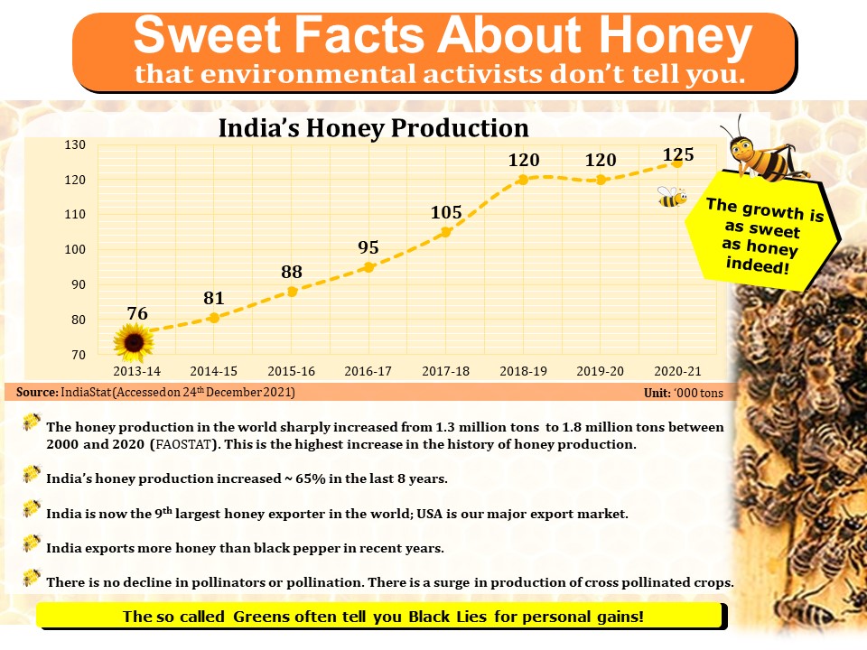 Sweet Facts About Honey