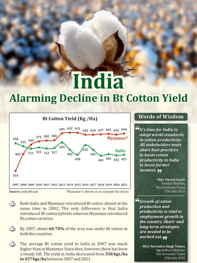 India Alarming Decline in Bt Cotton Yield